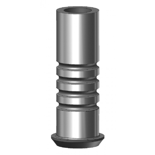 Titanium Copings for Abutments for Screw-Retained Prosthesis