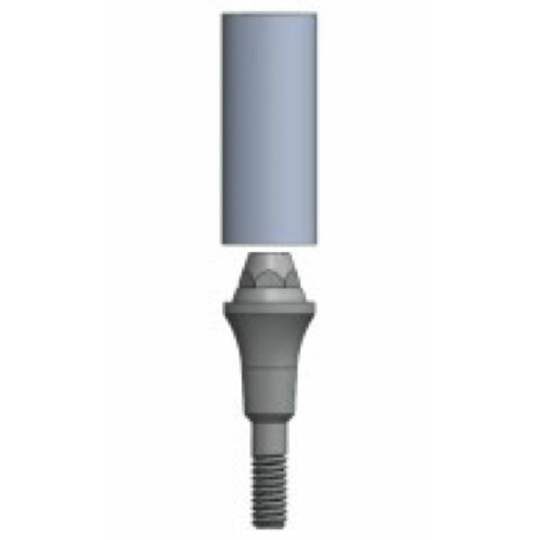 MUA (Transmucosal) Abutment Straight Emergence with burn out sleeve - Fits IT 200 series implants