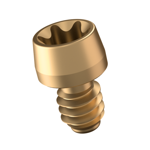 Implant One Replacement Screw