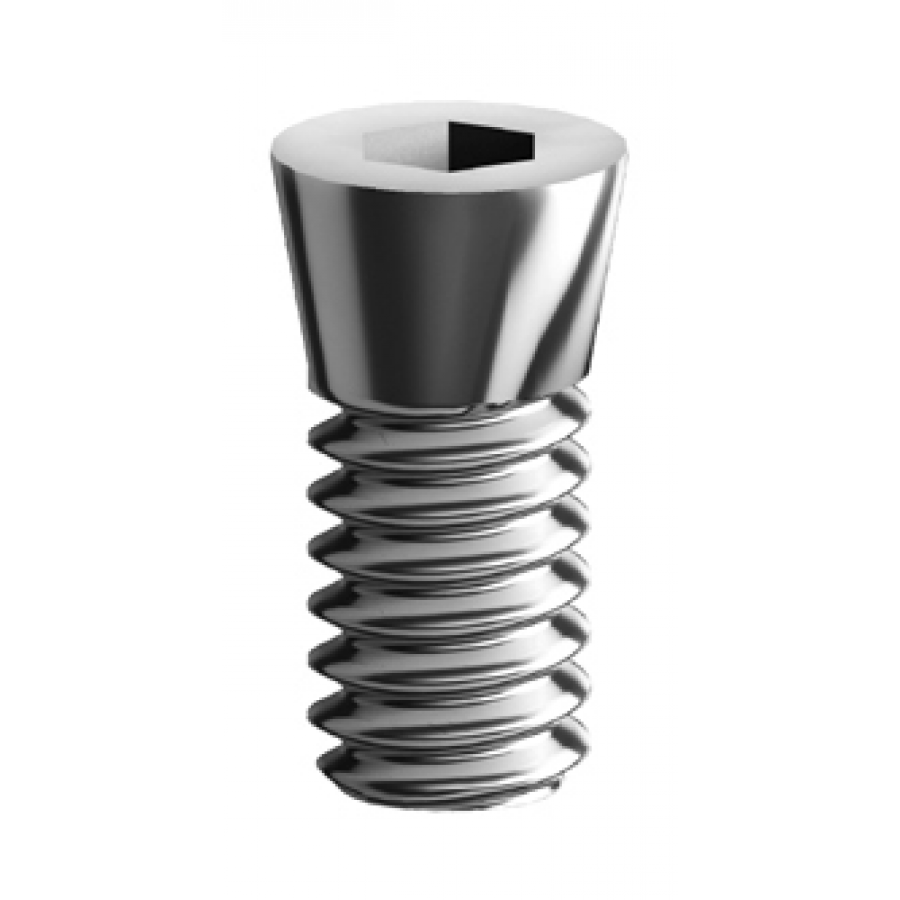 Standard Connecting Screw for Screw Retained Prosthesis