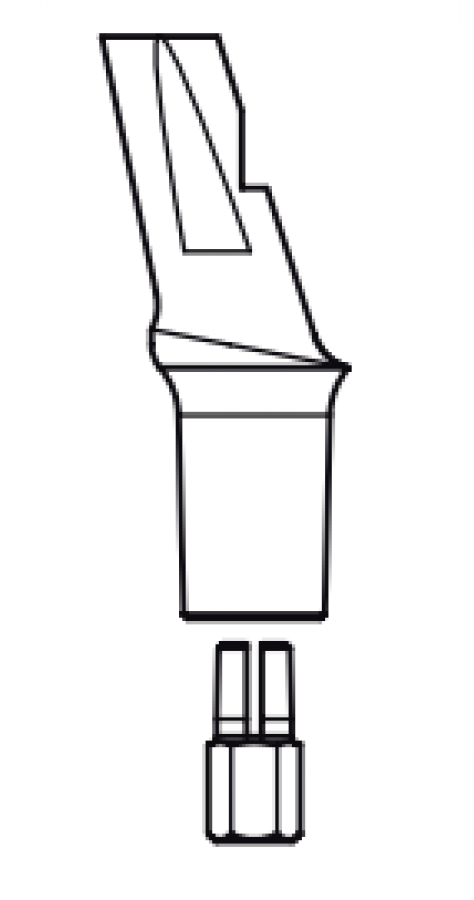 Leone 360° Anatomical Abutment, Yellow 3.0, 1 mm