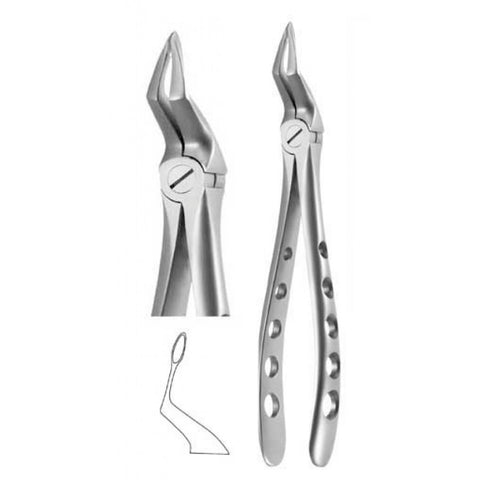 French Steel Straight Apical Root Tip Dental Elevator DEL 34 - Surgical Stainless Steel