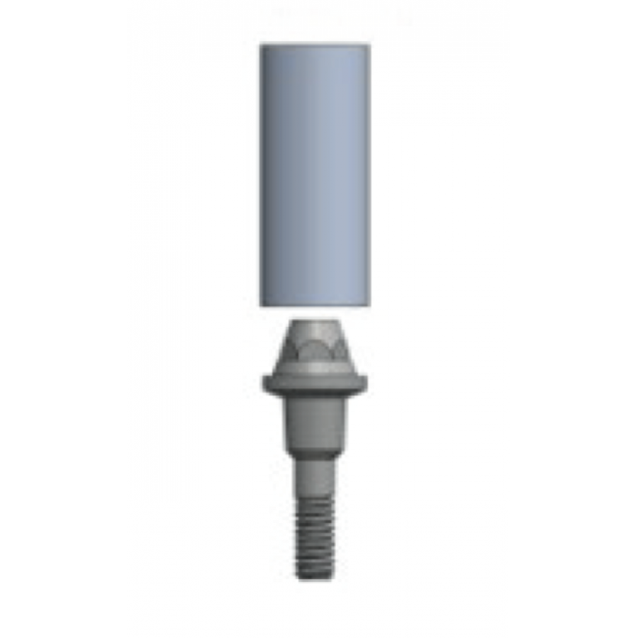 MUA (Transmucosal) Abutment Straight Emergence with burn out sleeve - Fits IT 100 series implants