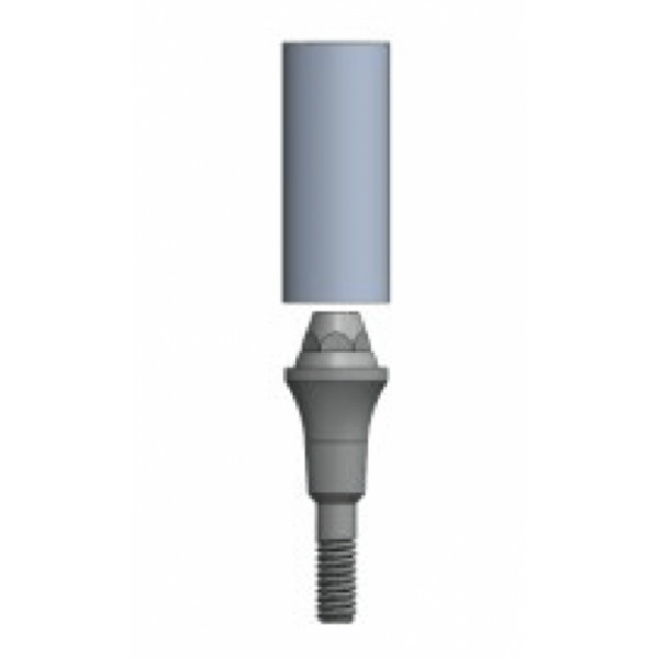 MUA (Transmucosal) Abutment Straight Emergence with burn out sleeve - Fits IT 100 series implants
